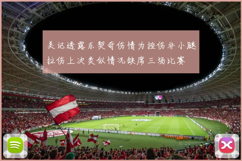 美记透露东契奇伤情为挫伤非小腿拉伤上次类似情况缺席三场比赛