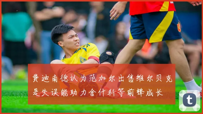 费迪南德认为范加尔出售维尔贝克是失误能助力舍什科等前锋成长